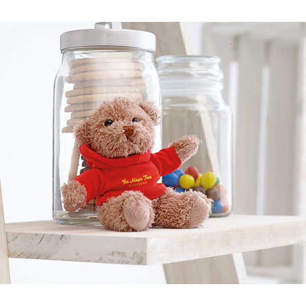 N048 Teddy Plush Wearing a Hooded Sweater