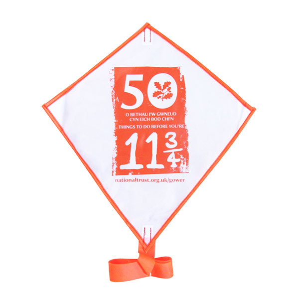 N049 Mini Diamond Kite