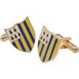 N113 Hard Enamel Cufflinks 