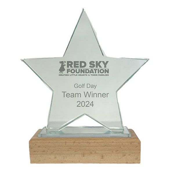 N111 16cm Glass Star Award