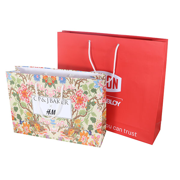 N071 Landscape Laminated Paper Carrier Bag - Large