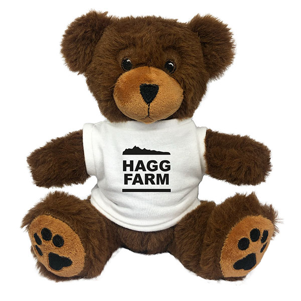 N048 8 Inch George Bear With White T-Shirt 