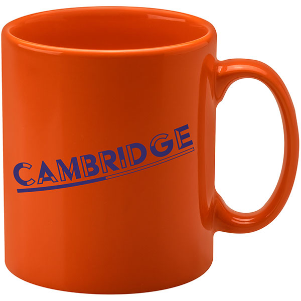 N094 Cambridge Mug - Coloured