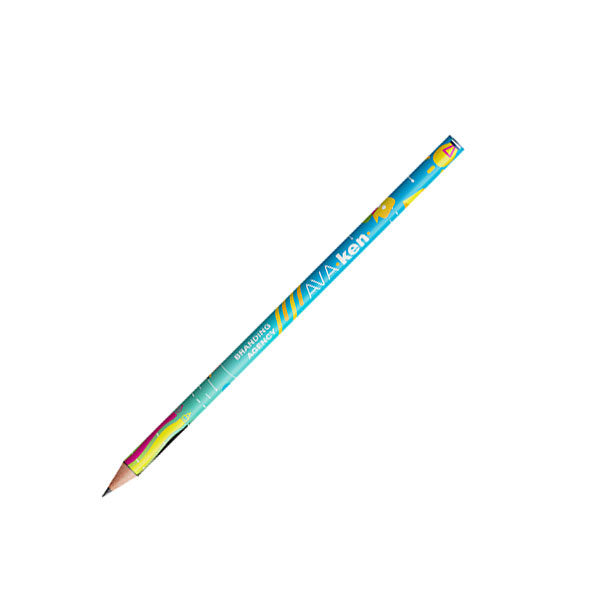 N134 BIC Evolution Ecolutions Pencil - Full Colour