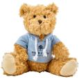 N048 Teddy Bear with Hoodie